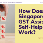 Singapore GST Assisted Self Help Kit